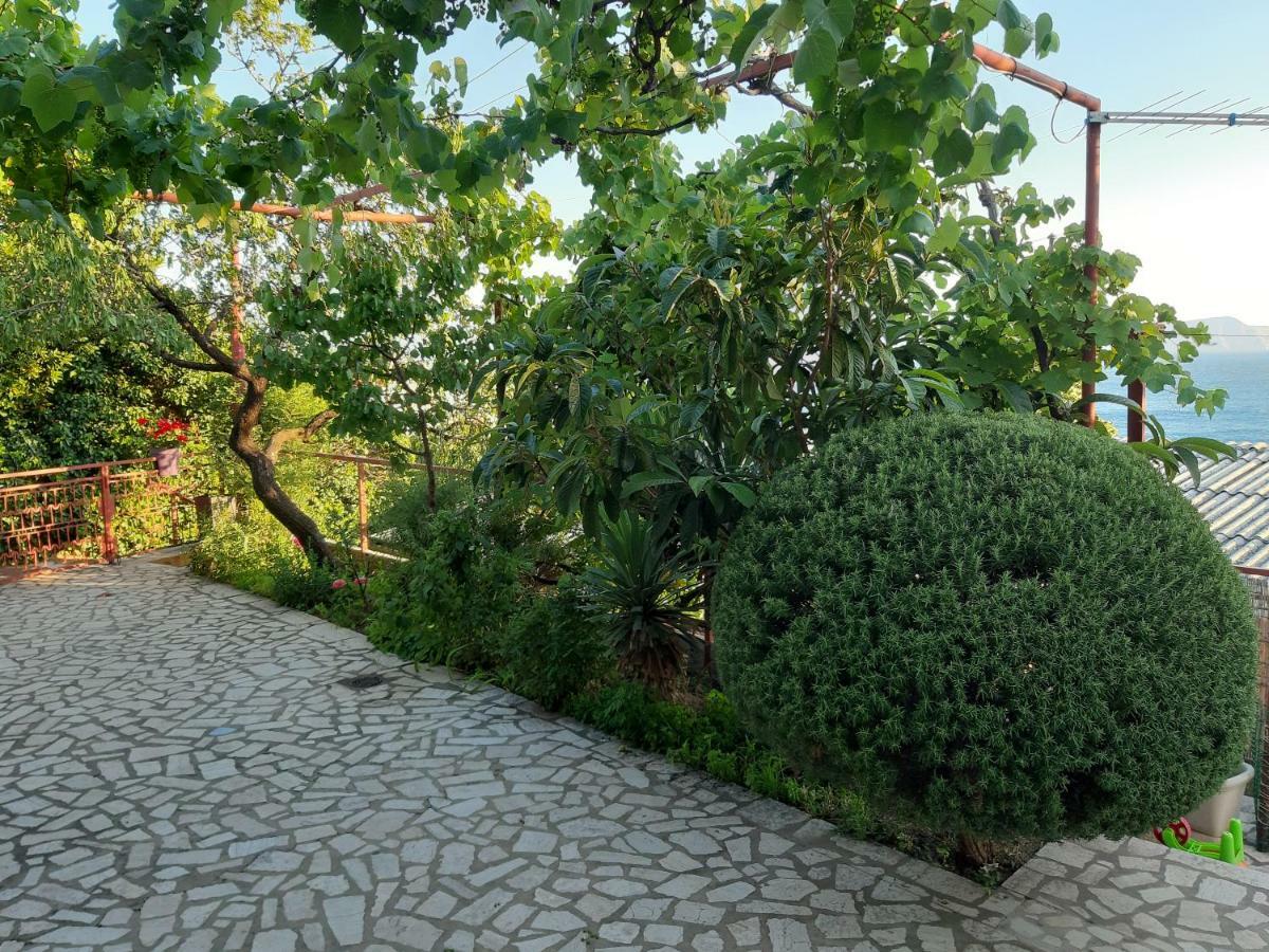 Apartment Ruza *